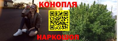 spice Обнинск