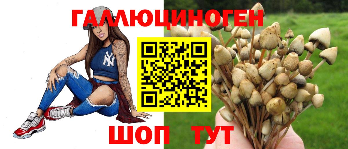 Галлюциногенные грибы ЛСД Геленджик