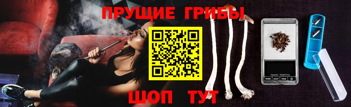 Псилоцибиновые грибы мицелий  Вход с VPN  что такое   Геленджик 